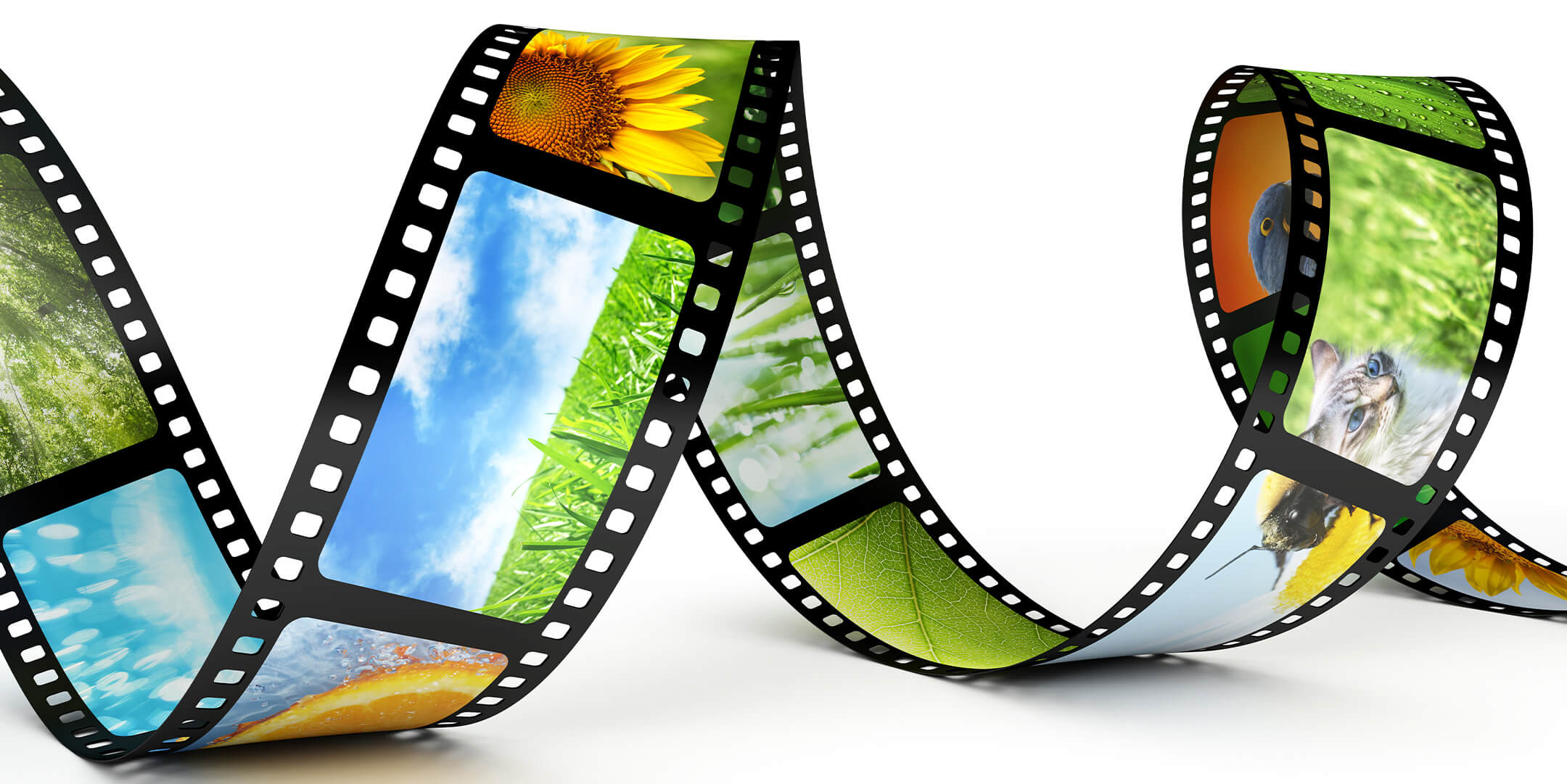 video-frames video-frames